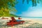 Beautiful nature tropical beach and sea with chair and coconut p