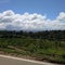 Beautiful nature view of kerala under blue sky with road side green treeplants