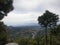 Beautiful Nature View From Palampur, Nature Lover, Himachal Pradesh, India