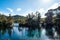 Beautiful nature at The WaikoropupÅ« Springs, Takaka, Abel Tasman, New Zealand