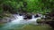 Beautiful nature waterfall in the rainforest Amazing abundant forest trees