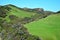 Beautiful New Zealand landscape with green hills and manuka trees