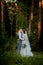 Beautiful newlyweds couple walking in the forest. Honeymooners. Bride and groom holding hand in pine forest, photo for Valentine`