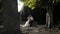 Beautiful newlyweds are sitting on an old bench in a green park. Action. The stylish groom embraces the lovely bride in