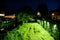 Beautiful night embankment near the river with green lights on a