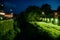 Beautiful night embankment near the river with green lights on a summer night. Weeping willow over the river at night. Green grass