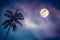 Beautiful night landscape of colorful sky, foggy is swinging between coconut palm tree and bright full moon with many stars.