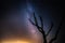 Beautiful night sky with milky way and silhoutte of old dead tree in a national park.