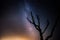 Beautiful night sky with milky way and silhoutte of old dead tree in a national park.