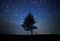 A beautiful night sky, the Milky Way, spiral star trails and trees