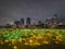 Beautiful night view of the city at night, the ground is filled with colorful LED lights, forming a sea of lights.