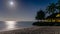 Beautiful night view of a a paradise beach with silver glow of moonlight reflecting off of water.