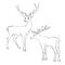 Beautiful noble proud sika deer are ruminant mammal in family Cervidae. Side view. Dark ink hand drawn picture sketchy