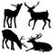 Beautiful noble proud sika deer are ruminant mammal in family Cervidae. Side view. Dark ink hand drawn picture sketchy