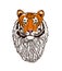 Beautiful noble tiger with a bushy beard. Tiger head. The symbol of the new 2022