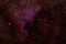 The beautiful North American Nebula Lanoue