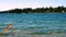 Beautiful northern Minnesota lake with wooded shoreline and homes on a sunny day with a pontoon in distance.