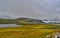 Beautiful Norway landscape. Dark clouds, colourful grass.