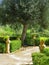 Beautiful nostalgic mediterranen garden