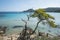 Beautiful Notre Dame beach (Plage Notre-Dame) on Porquerolles island (l\\\'le de Porquerolles), France