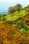 Beautiful oak forest contemplating the passage of the stream that descends down the slopes of the Almanzor peak in the Sierra de