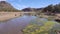 Beautiful oasis landscape in Oasis De Fint near Ourzazate in Morocco, North Africa.