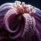 Beautiful octopus tentacles