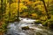 Beautiful Oirase Mountain Stream flow over rocks in the colorful foliage of autumn forest