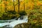 Beautiful Oirase Mountain Stream flow passing the colorful foliage in autumn season forest