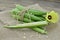 Beautiful okra flower with fruit on wooden table