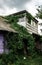 Beautiful old balcony overgrown with ivy.