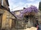 Beautiful old brown three-story house, slums entwined with purple lilac bushes in the old urban area