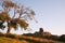 Beautiful old castle ruin on Autumn morning