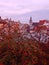 Beautiful old city of Lviv in autumn