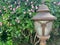 A beautiful old-fashioned classic lamp post in a plant bush with green leaves
