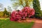 Beautiful, old park with azalea trees