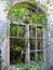 Beautiful old patterned window in an abandoned house grow tree branches through the window opening