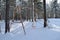 Beautiful old rusted swingset in winter