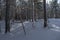 Beautiful old rusted swingset in winter forest