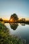 Beautiful old tree with sunrays reflected in water.Rural summer landscape with lonely tree against blue sky at sunset.Peaceful and