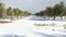 Beautiful Olive trees in an olive grove in the snow, Apulian landscape after a snowfall, unusual cold winter in Salento