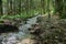 Beautiful Oltschibach Waterfall, Unterbach, Brienz municipality