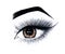 Beautiful open female eye with long eyelashes is isolated on a white background. Makeup template illustration. Sketch