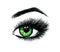 Beautiful open female green eye with long eyelashes is isolated on a white background. Makeup template illustration