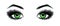 Beautiful open female green eyes with long eyelashes is isolated on a white background. Makeup template illustration. Color sketch