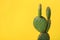 Beautiful Opuntia cactus on yellow background, closeup. Space for text