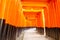 Beautiful orange color temple at Kyoto, Japan