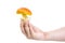 Beautiful Orange Fresh Eatable Forest Mushroom