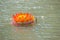 Beautiful orange kratong is floating on the water. Conccept for