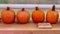 Beautiful orange pumpkin Mandarin Evergold. Four bright pumpkins. Harvest festival halloween